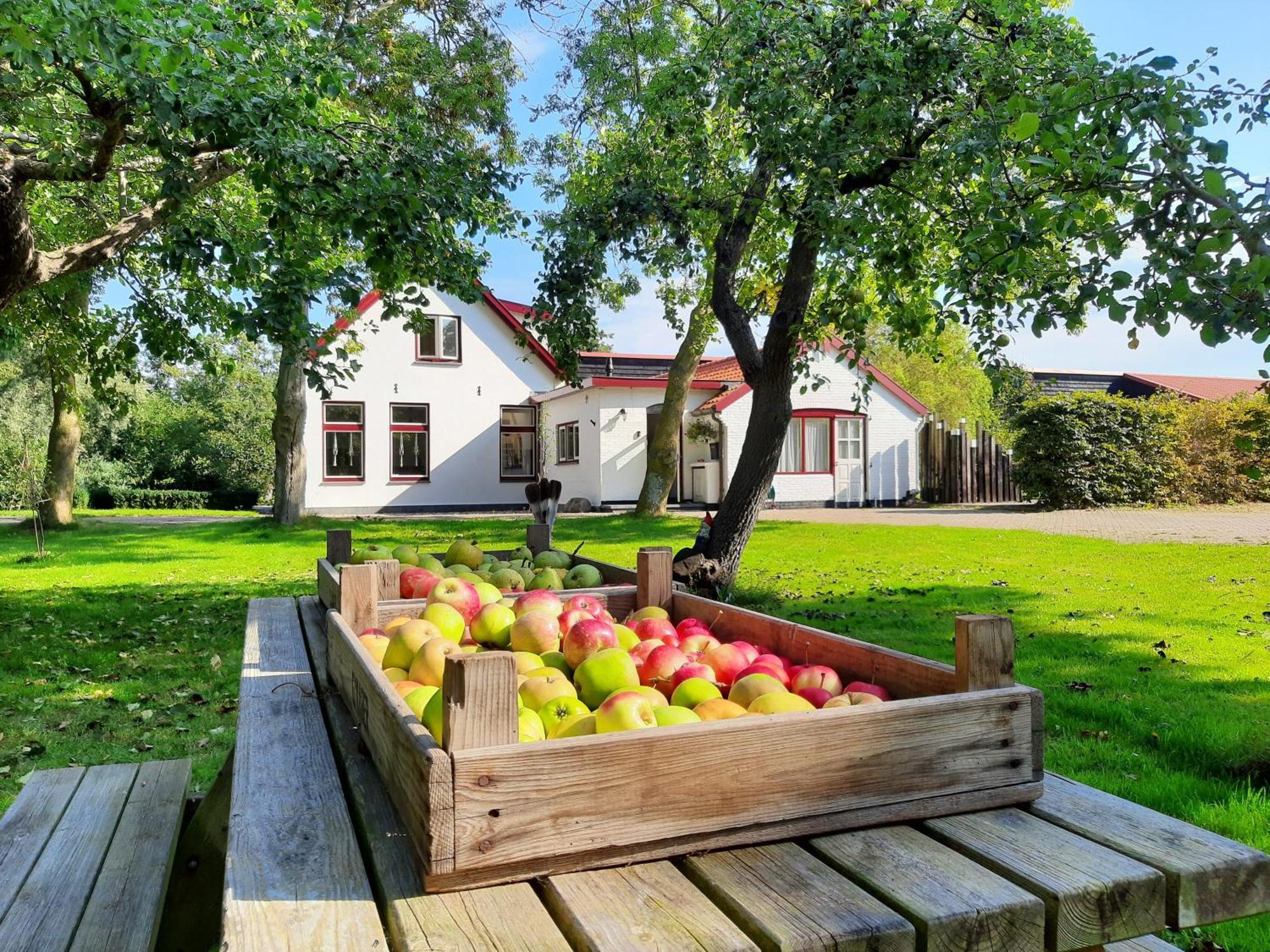 De Vrijheid-Plantage Appartement De Cocksdorp  Buitenkant foto
